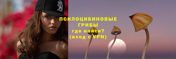 шишки Алексин