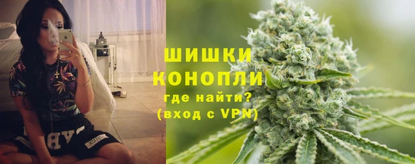 шишки Алексин