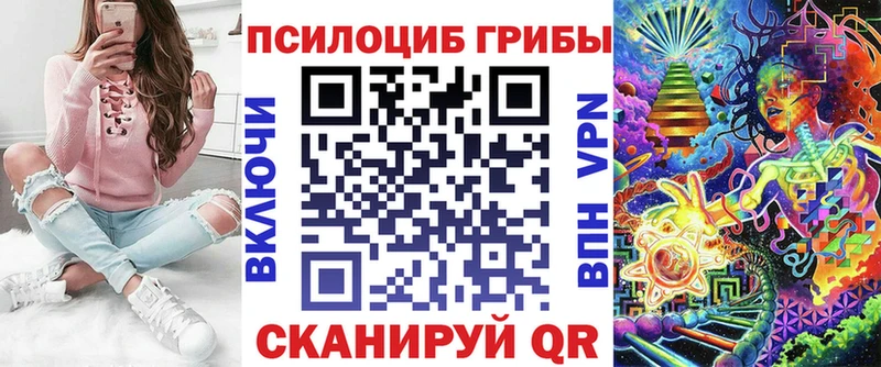 ссылка на мегу зеркало Волгодонск Псилоцибиновые грибы Psilocybine cubensis